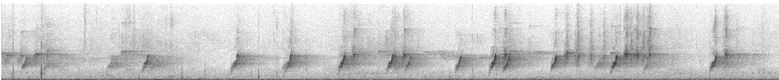 Cimitarra Dorsicastaña (montanus/ottolanderi) - ML69804741