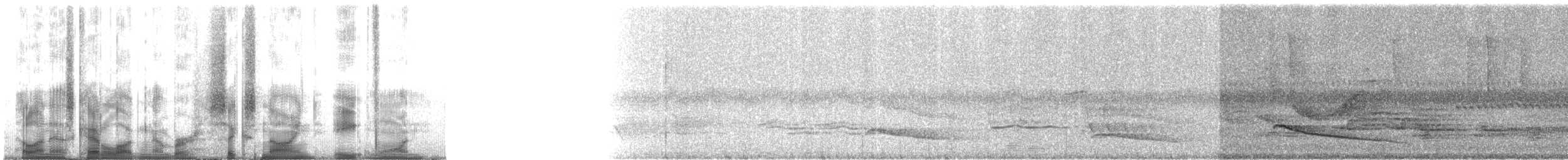 Tropfenbaumsteiger (erythropygius/parvus) - ML6981