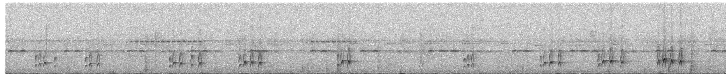 Weißkehl-Stachelschwanz (pariae) - ML700059