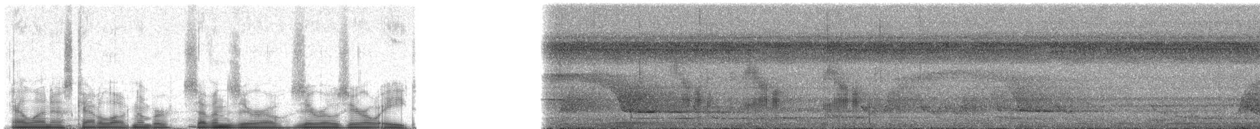 Black-tailed Tityra (Western) - ML70008