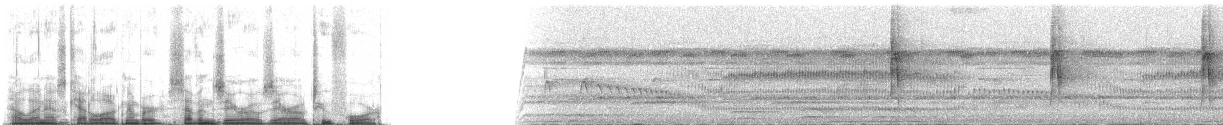 sepiatreløper (fuliginosa/rufoolivacea) - ML70024