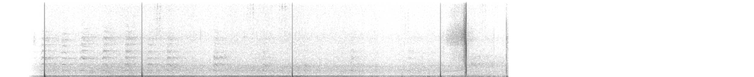 Kopetazuri arrunta - ML70029961