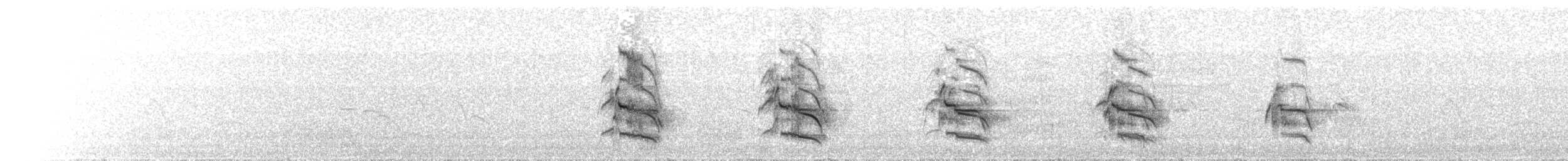 káně proměnlivá (ssp. polyosoma) - ML700366