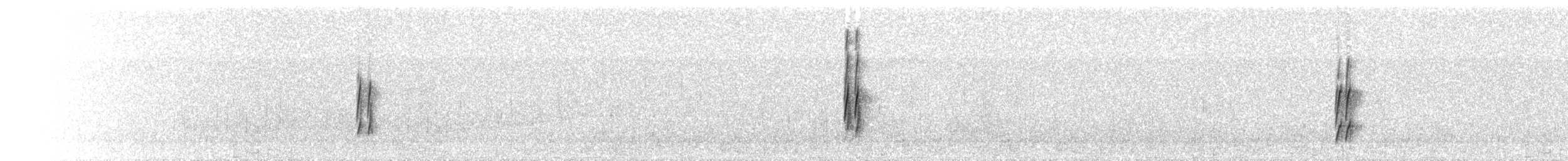 Трясохвіст білокрилий - ML700373