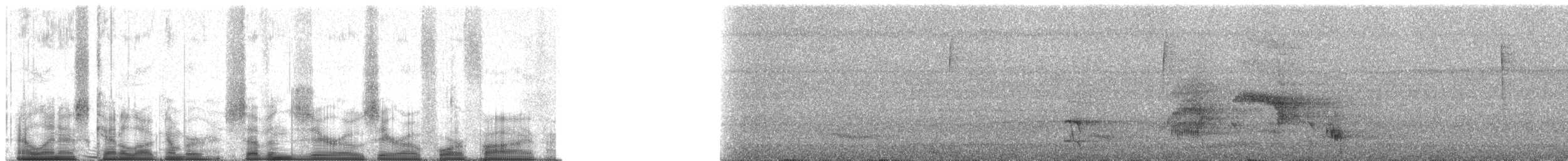 Channel-billed Toucan (Channel-billed) - ML70045