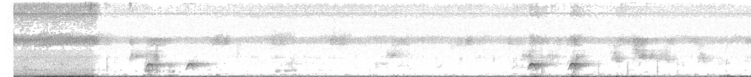 Batılı Kara Başlı Pitta (cucullata) - ML700527