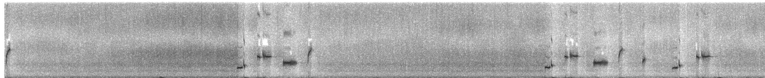 Psophode à menton noir (nigrogularis/oberon) - ML700559