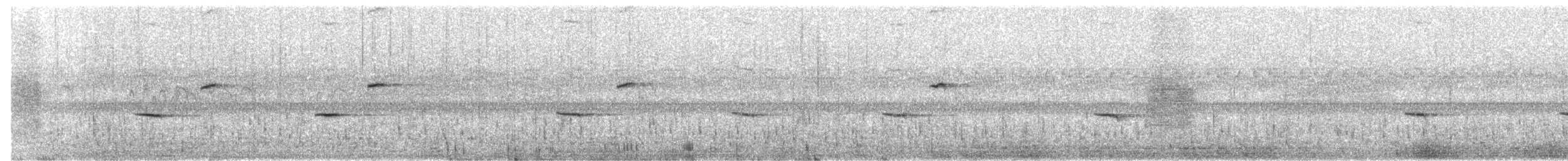 Black-backed Forktail - ML700569