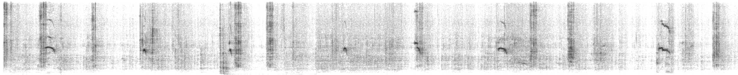 Вилохвостая чайка - ML70085011