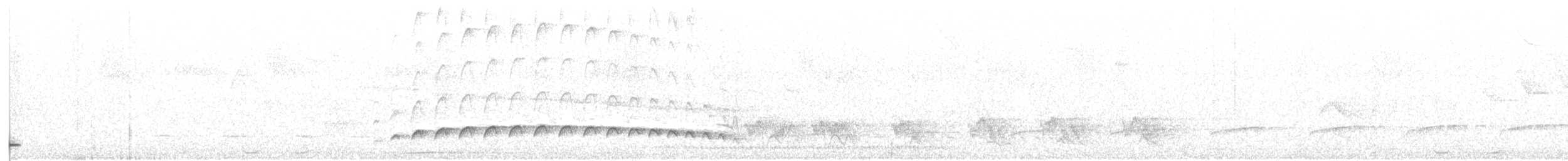 Fleckenbrust-Ameisenvogel - ML70096661