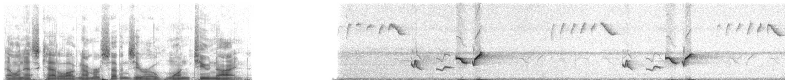 Серогрудый крапивник (venezuelensis) - ML70129