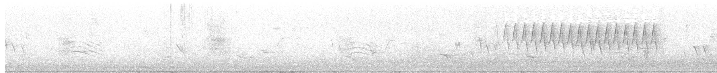 Малая воробьиная овсянка - ML70160751