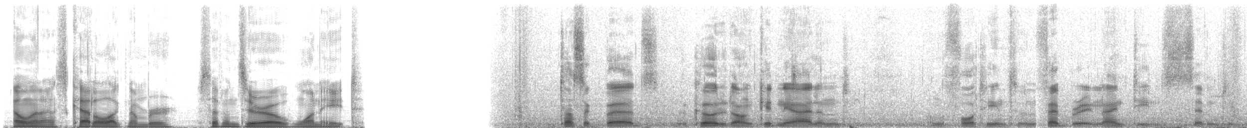 Blackish Cinclodes (Blackish) - ML7018