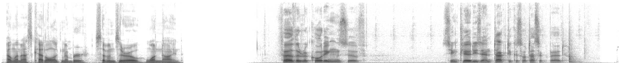 Blackish Cinclodes (Blackish) - ML7019