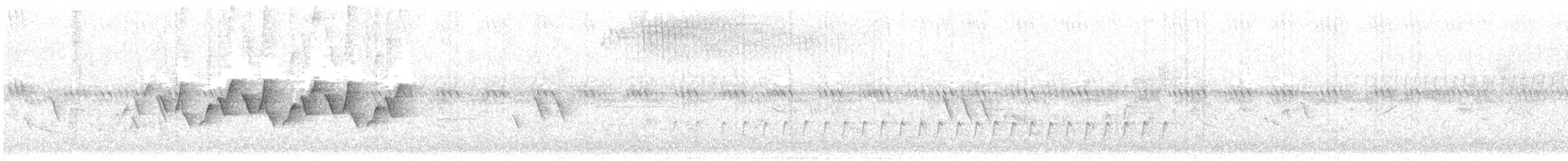 Paruline masquée - ML70191811