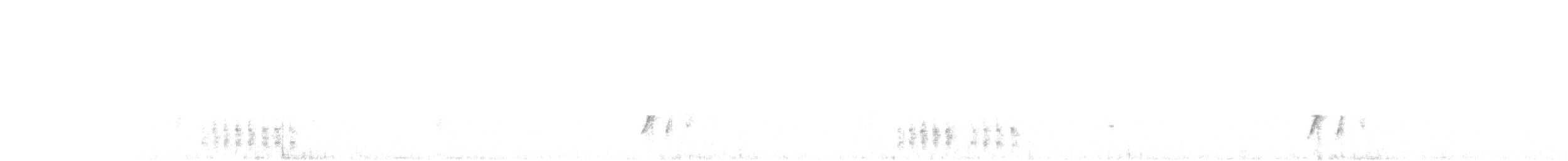 Kıvrık Gagalı Çöpçü - ML70206061