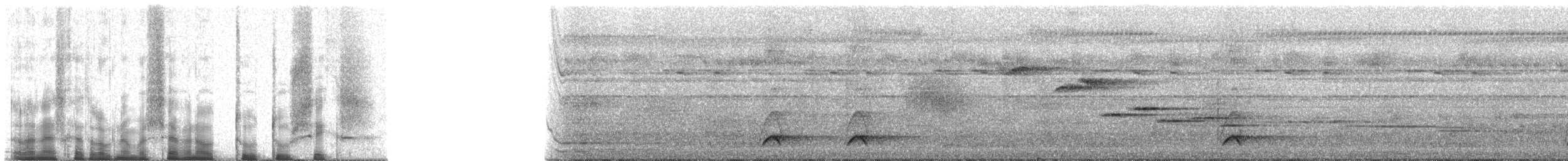 Western Hooded Pitta (Chestnut-crowned) - ML70226