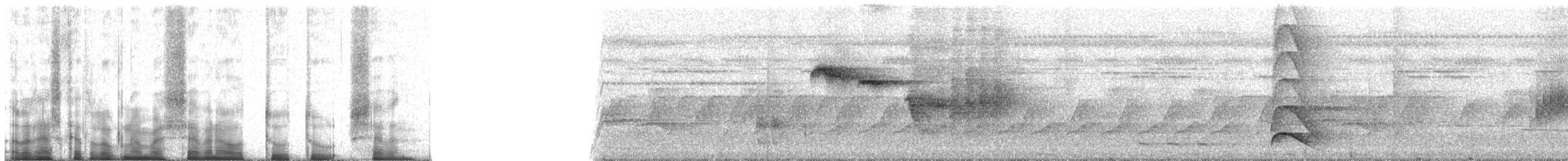 Western Hooded Pitta (Chestnut-crowned) - ML70227