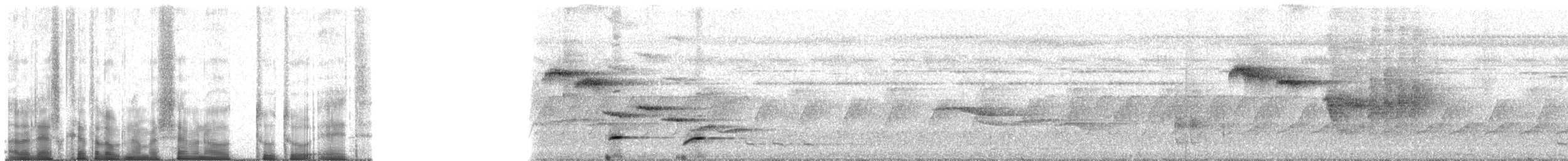 Western Hooded Pitta (Chestnut-crowned) - ML70228