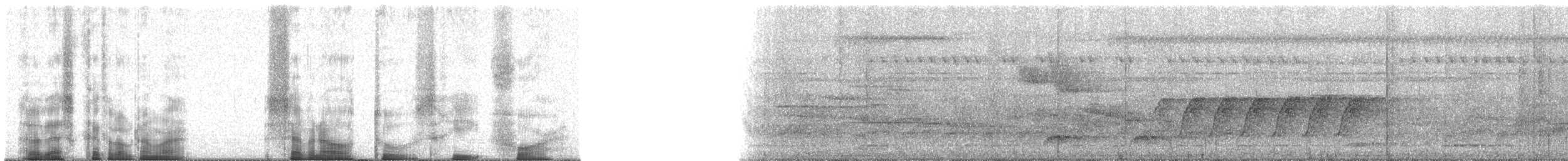 Western Hooded Pitta (Chestnut-crowned) - ML70234