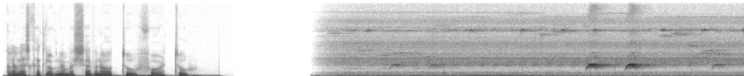 Western Hooded Pitta (Chestnut-crowned) - ML70242