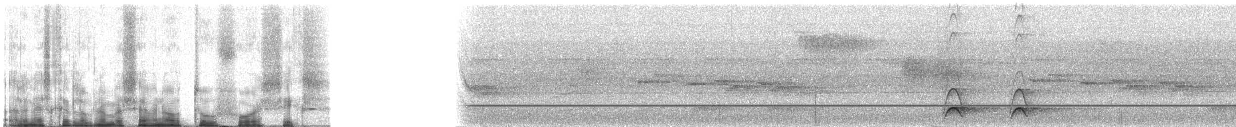 Western Hooded Pitta (Chestnut-crowned) - ML70246