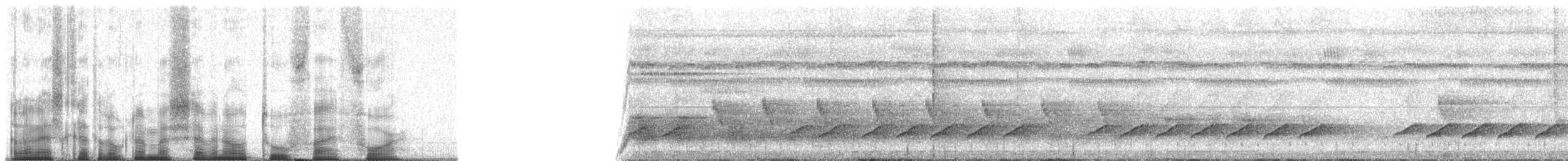 Western Hooded Pitta (Chestnut-crowned) - ML70254