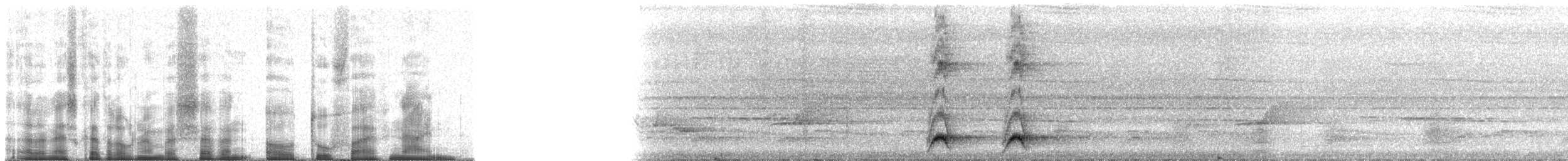 Western Hooded Pitta (Chestnut-crowned) - ML70259