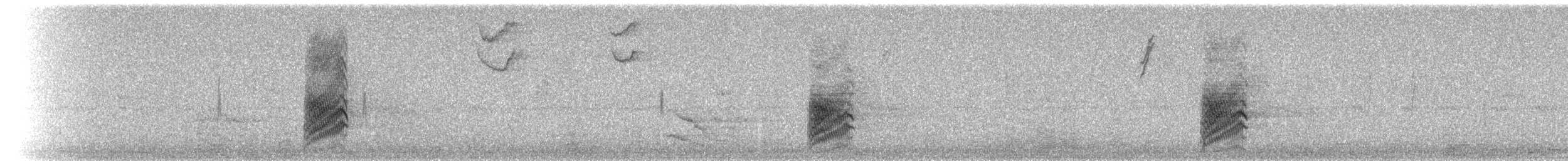 California Scrub-Jay - ML70270421