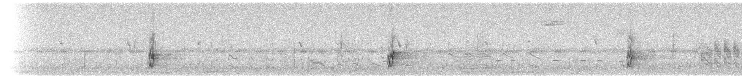 California Thrasher - ML70274341