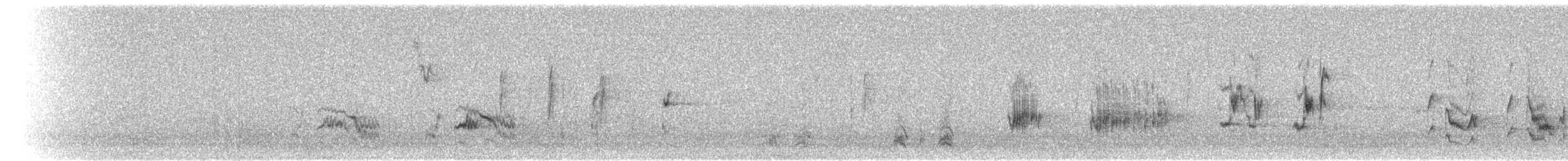 California Thrasher - ML70275511