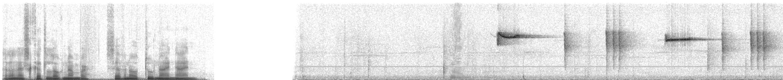 Pygmy Cupwing - ML70299