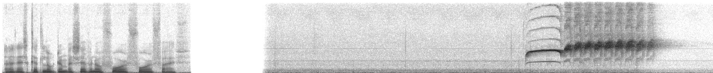 Spot-necked Babbler - ML70445