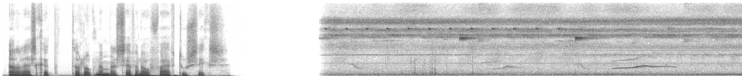 stjernefroskemunn - ML70526