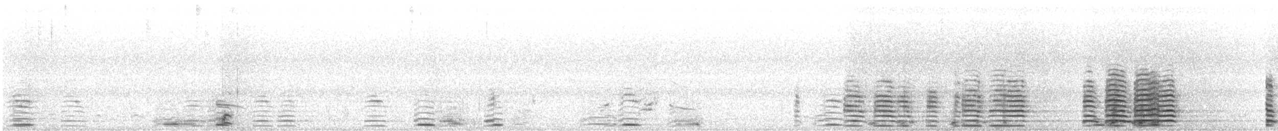 Cisne Trompetero - ML70543481
