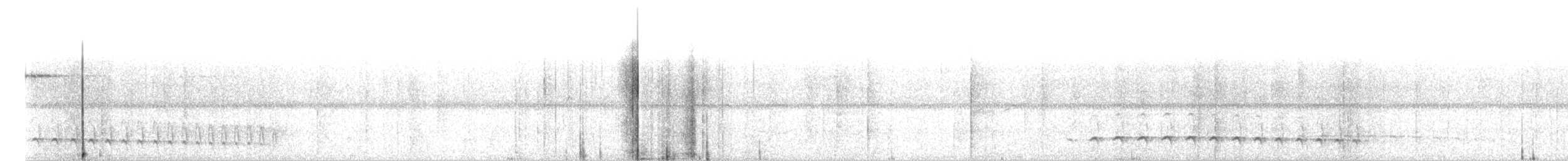 Plain Antvireo - ML70586971