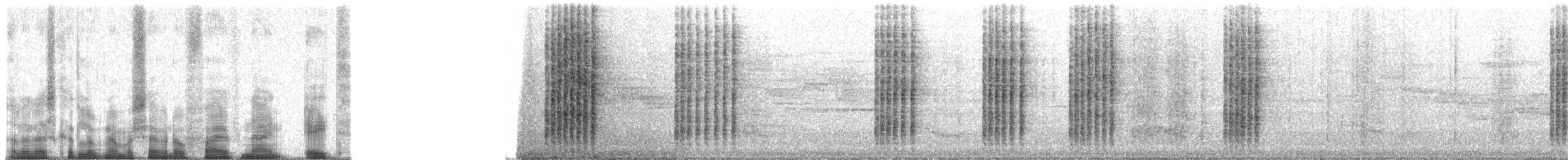 Weißlatz-Buschtimalie - ML70598