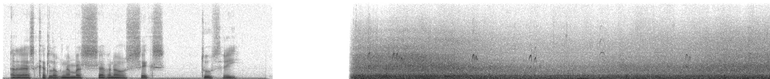 Malaysian Plover - ML70623