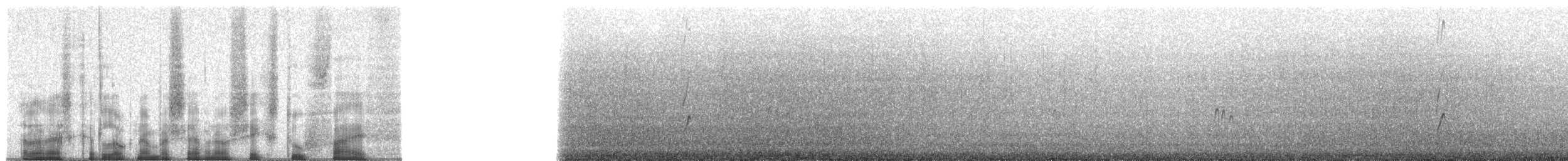 Malaysian Plover - ML70625