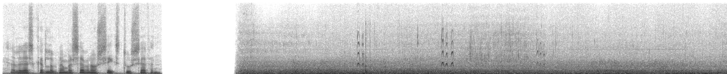 Malaysian Plover - ML70627