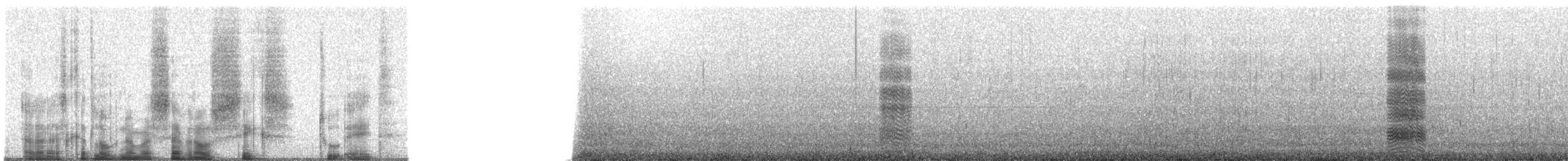 Black-naped Tern - ML70628