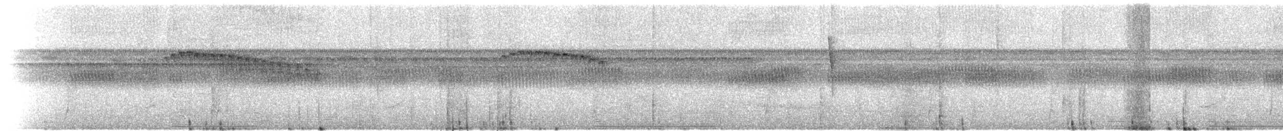 Rufous-backed Stipplethroat (Rufous-backed) - ML70756861