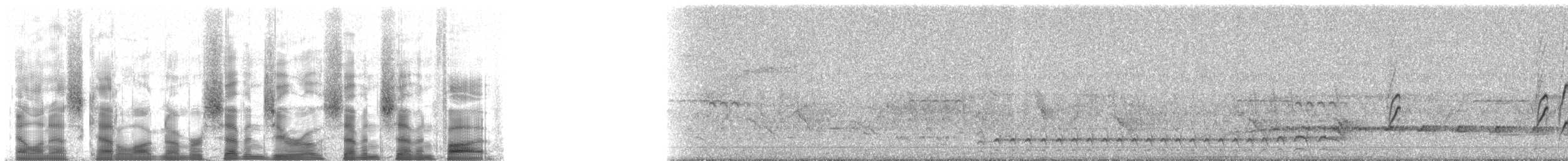 Palmentangare - ML70775
