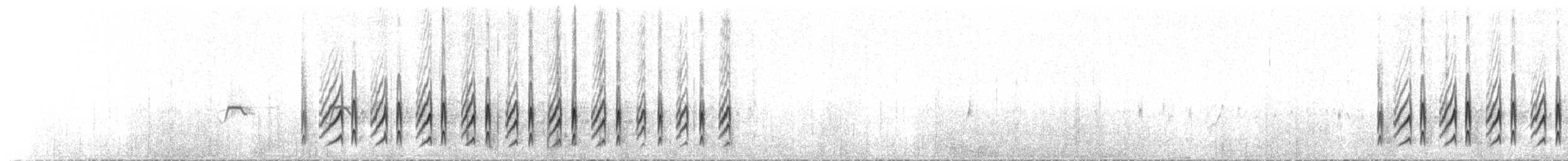 Patagonienerdhacker [cunicularia-Gruppe] - ML70787301