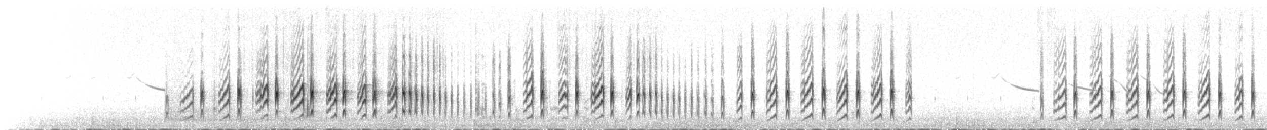 Землекоп світлочеревий [група cunicularia] - ML70787311