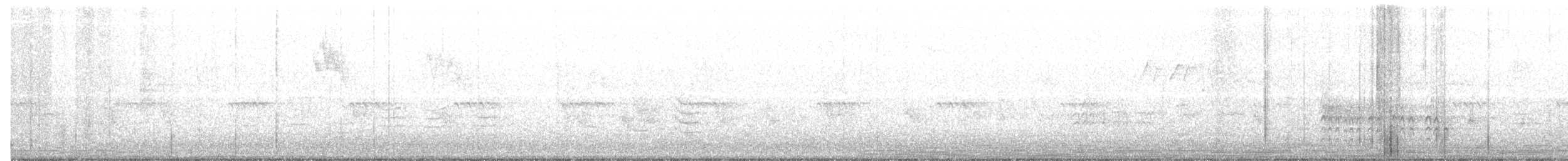 Sittelle à poitrine blanche (groupe lagunae) - ML70805091