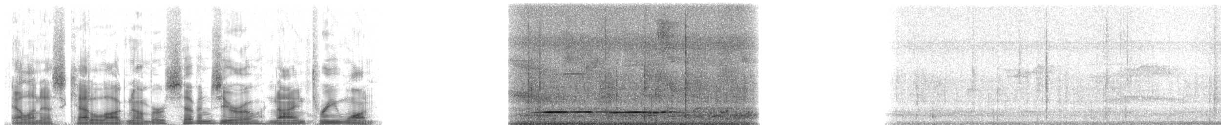 Tinamou à pieds rouges - ML70931