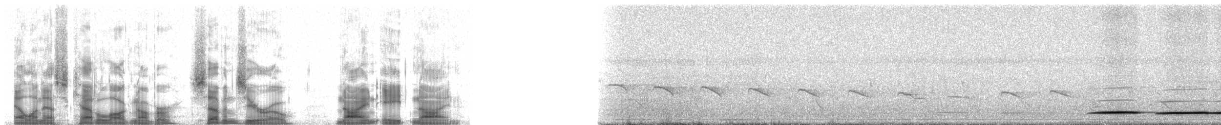 Red-legged Tinamou - ML70989