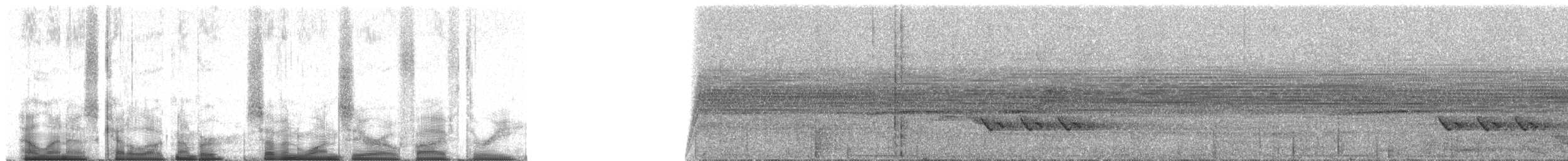 Тиран-інка буроголовий - ML71053