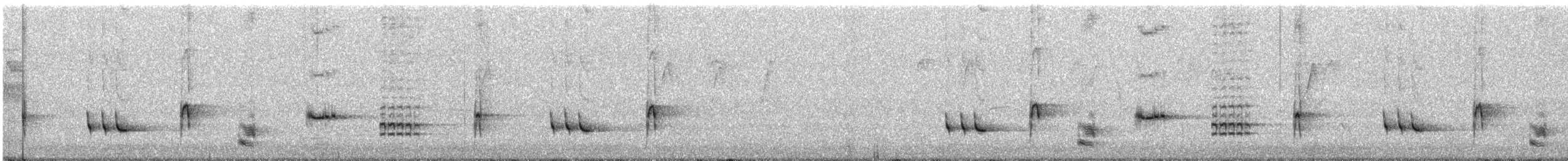 Psophode à menton noir - ML71166131